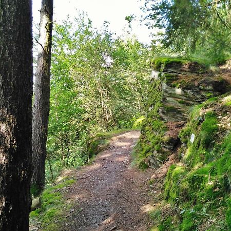 Fewo Well Gladenbach Bagian luar foto