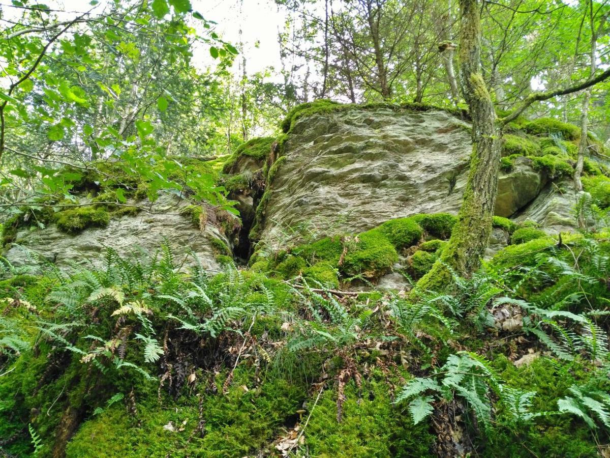 Fewo Well Gladenbach Bagian luar foto