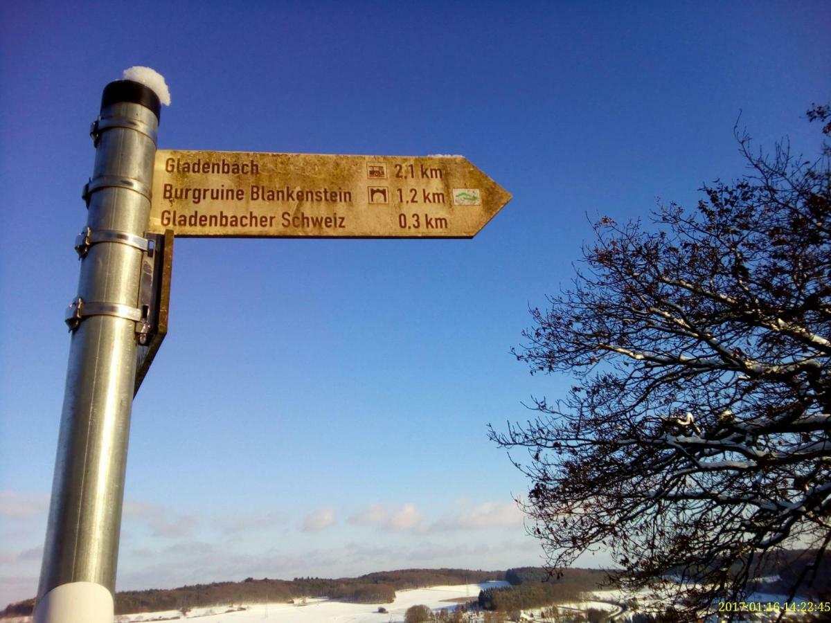 Fewo Well Gladenbach Bagian luar foto
